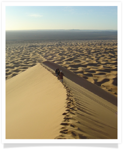 Travel with us ! Travel to Morocco with "Maroc Desert Tours" !